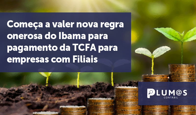 banner 07 Ibama - Começa a valer nova regra onerosa do Ibama para pagamento da TCFA para empresas com Filiais.