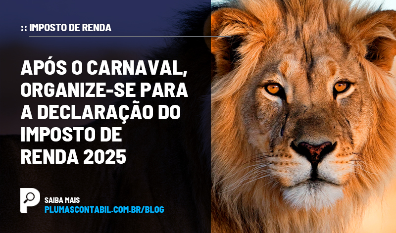 banner 02 IR copiar - :: IMPOSTO DE RENDA – Após o Carnaval, organize-se para a Declaração do Imposto de Renda 2025