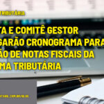 REFORMA TRIBUTÁRIA - Receita e Comitê Gestor divulgarão cronograma para emissão de notas fiscais da Reforma Tributária - :: REFORMA TRIBUTÁRIA – Fase de testes para informar novos impostos IBS e CBS nas Notas Fiscais será adiada?